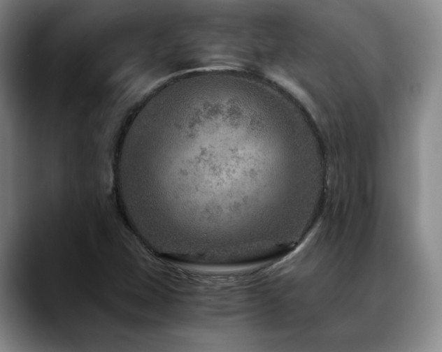 X0000090601407200707171324