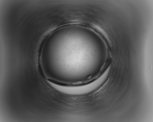 X0000090601411200707171324