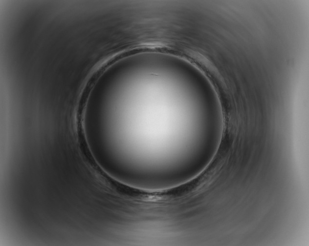X0000090601412200707171324
