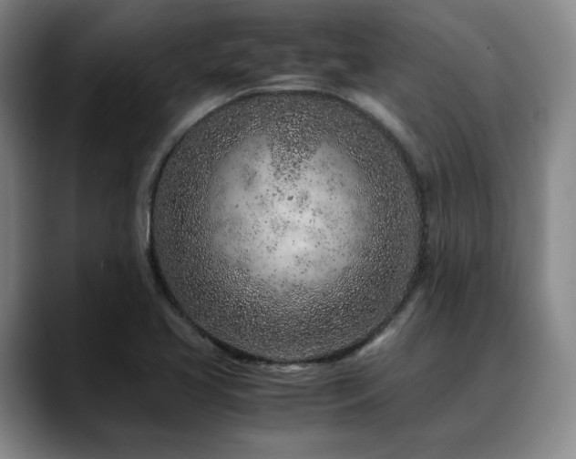 X0000090601413200707171324