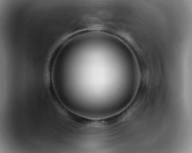 X0000090601414200707171324