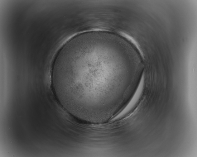 X0000090601415200707171324