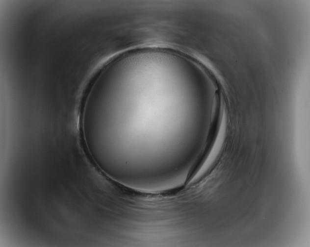 X0000090601416200707171324