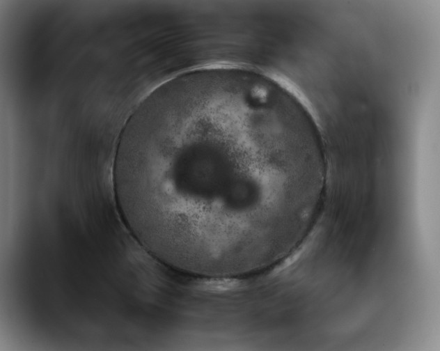 X0000090601417200707171324