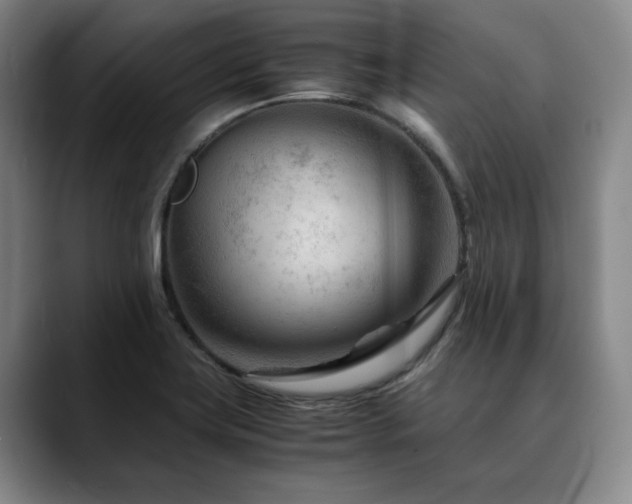 X0000090601419200707171324