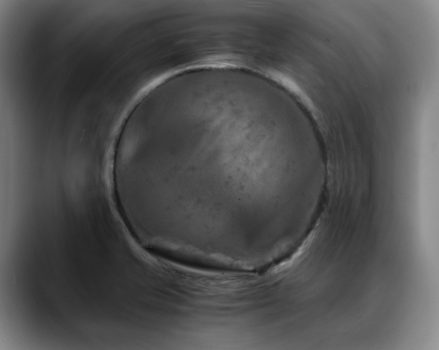 X0000090601421200707171324