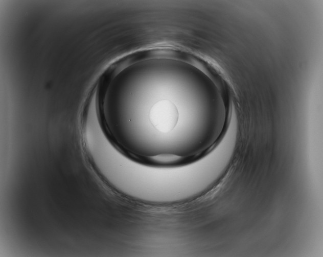 X0000090601422200707171324