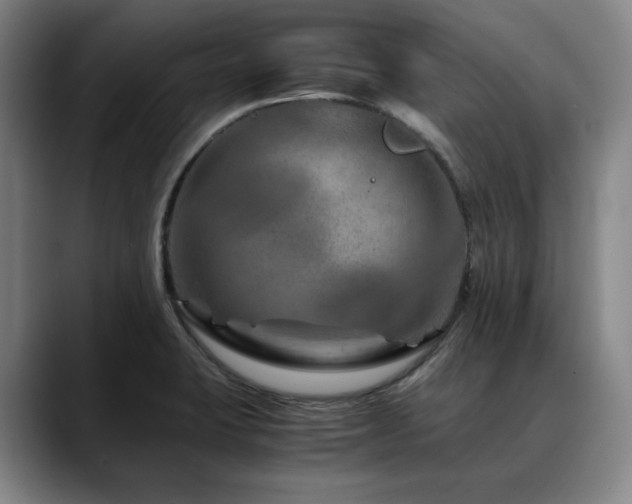 X0000090601423200707171324