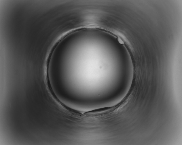 X0000090601424200707171324