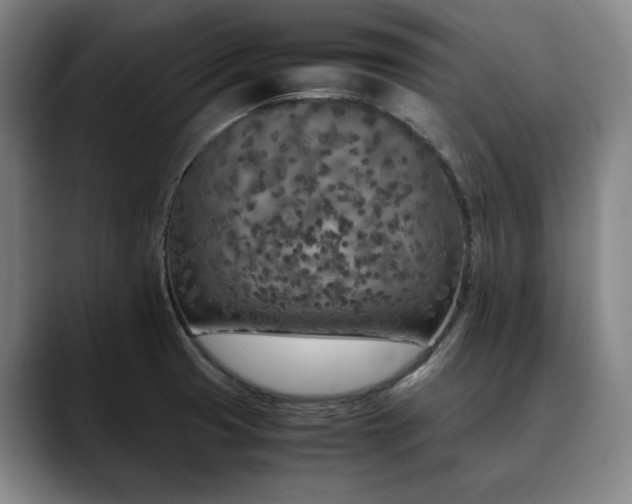 X0000090601425200707171324