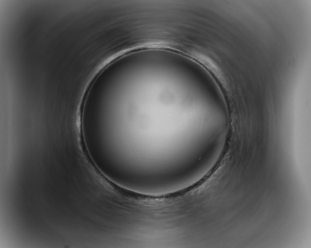 X0000090601428200707171324