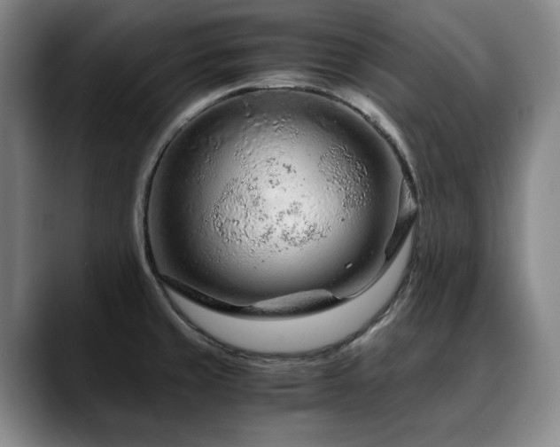 X0000090601429200707171324