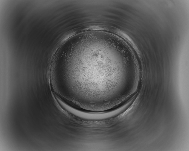 X0000090601433200707171324