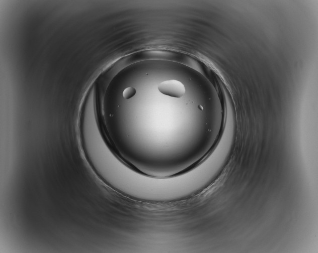 X0000090601434200707171324