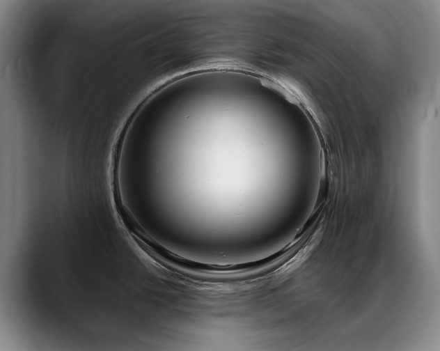 X0000090601438200707171324