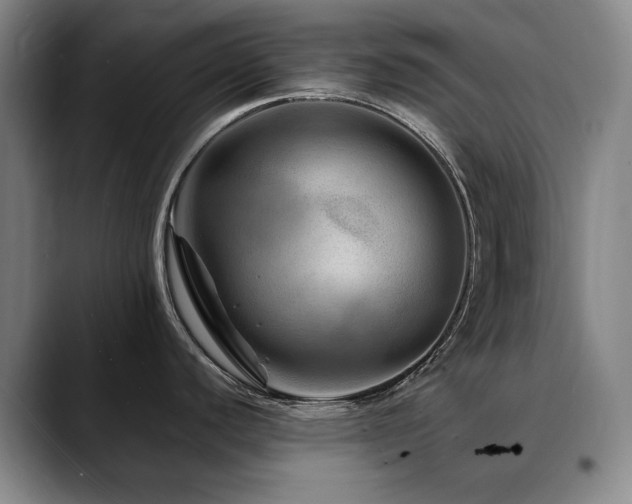 X0000090601440200707171324