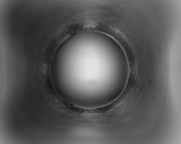 X0000090601445200707171324