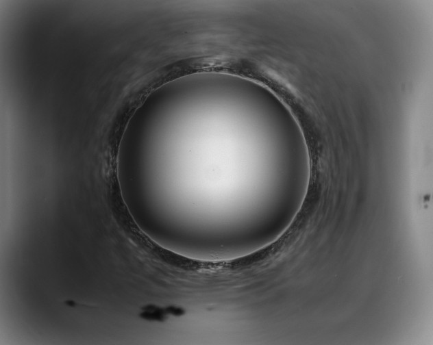 X0000090601447200707171324