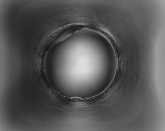 X0000090601448200707171324