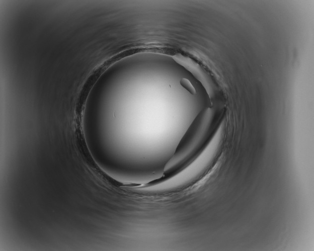 X0000090601449200707171324