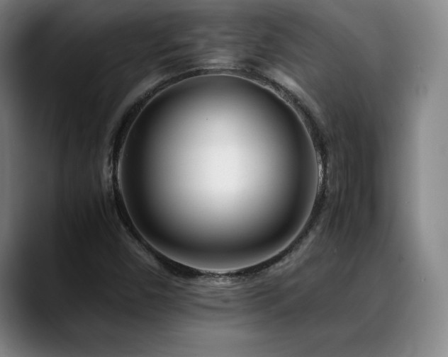 X0000090601450200707171324