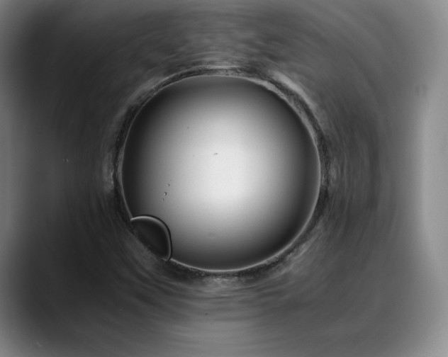 X0000090601451200707171324