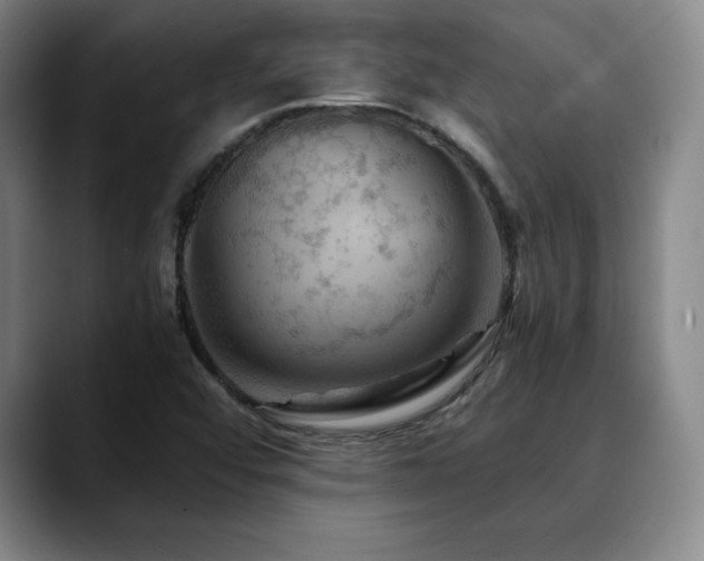X0000090601456200707171324