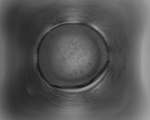 X0000090601459200707171324