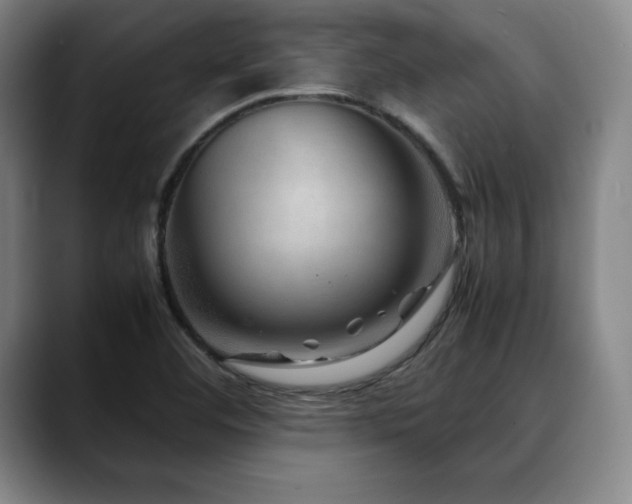 X0000090601460200707171324