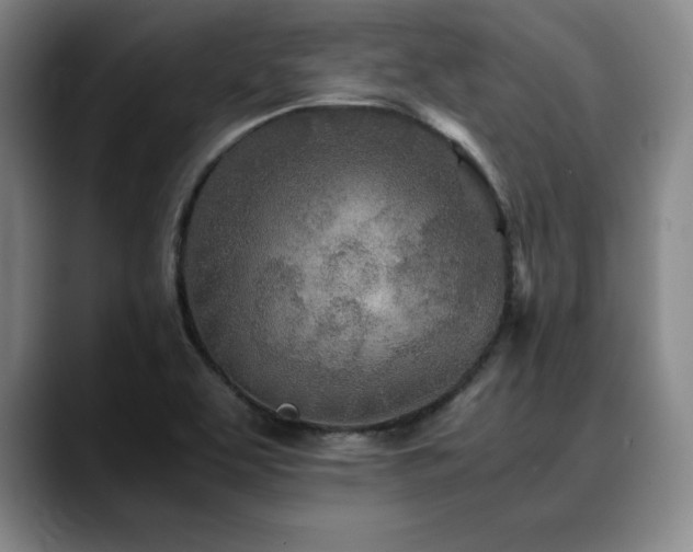 X0000090601463200707171323