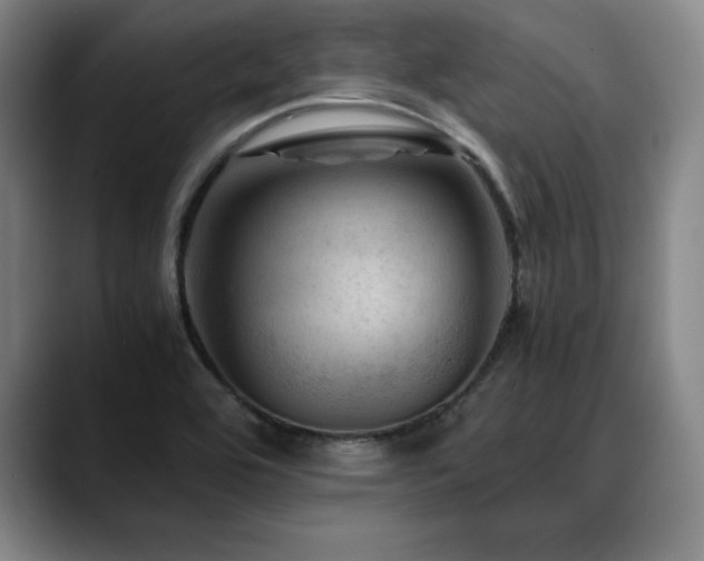 X0000090601464200707171323