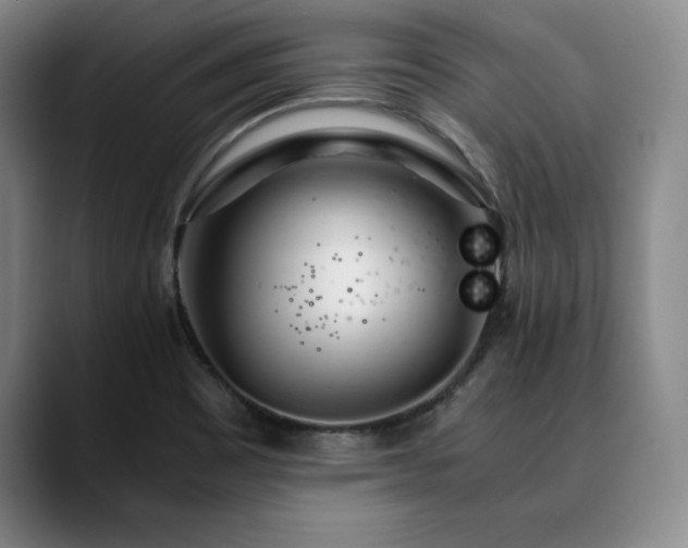X0000090601465200707171323