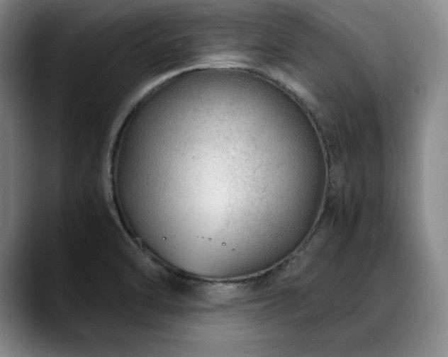 X0000090601470200707171323