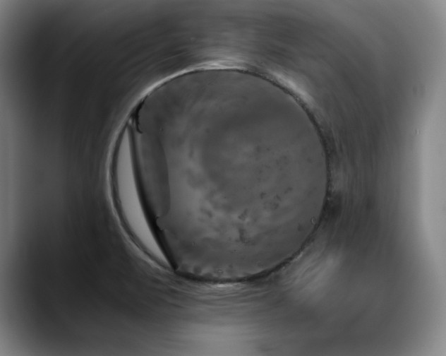 X0000090601471200707171323