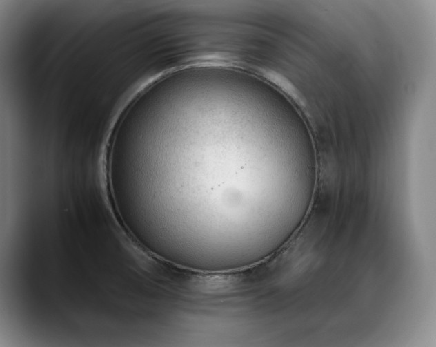 X0000090601474200707171323