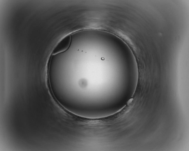 X0000090601479200707171323