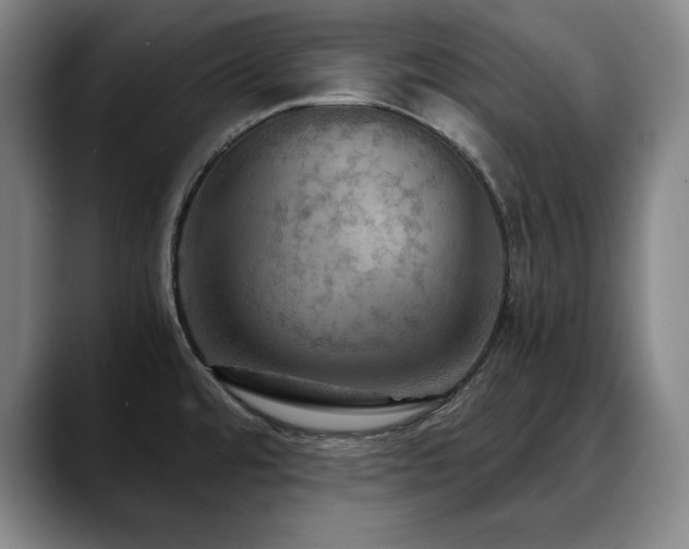 X0000090601480200707171323