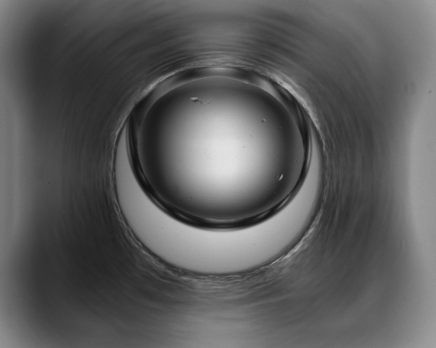 X0000090601481200707171323