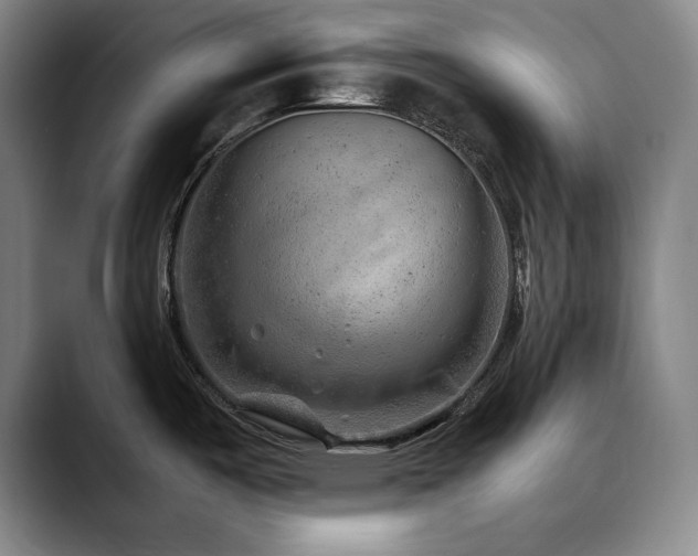 X0000090601487200707171323