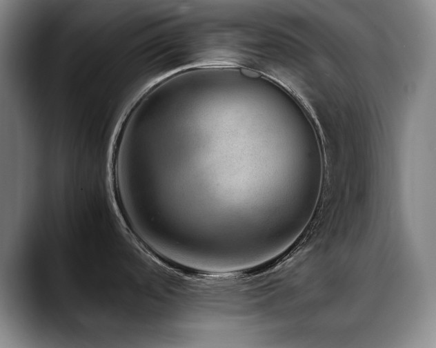 X0000090601488200707171323