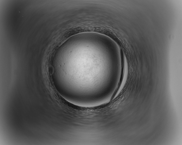X0000090601489200707171323
