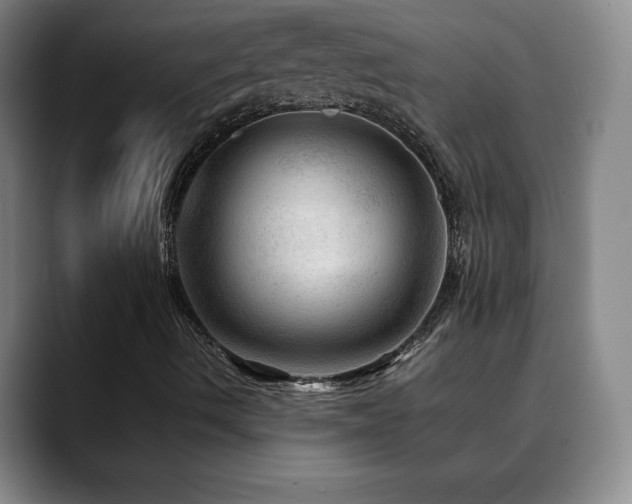 X0000090601490200707171323