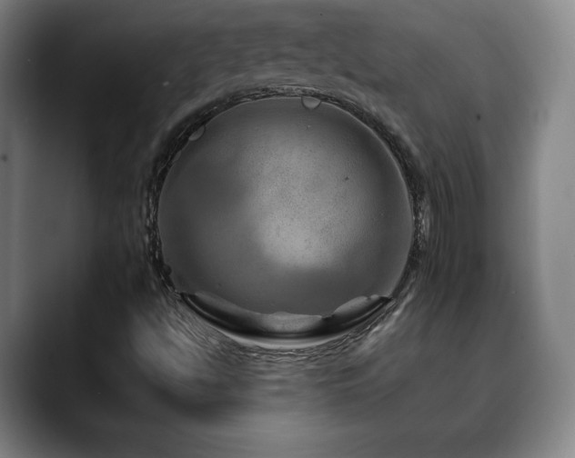 X0000090601494200707171323