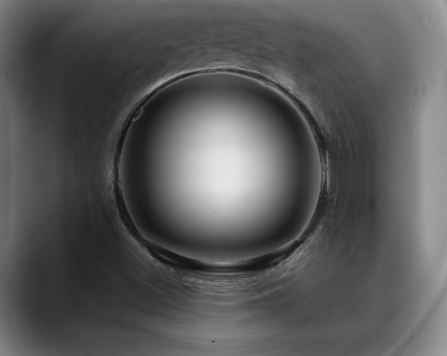 X0000090601500200707171323