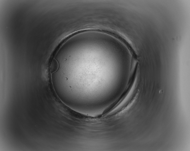 X0000090601501200707171323
