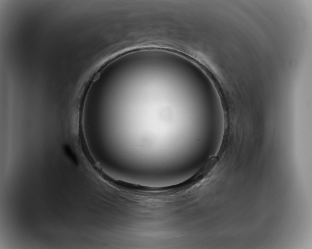 X0000090601504200707171323