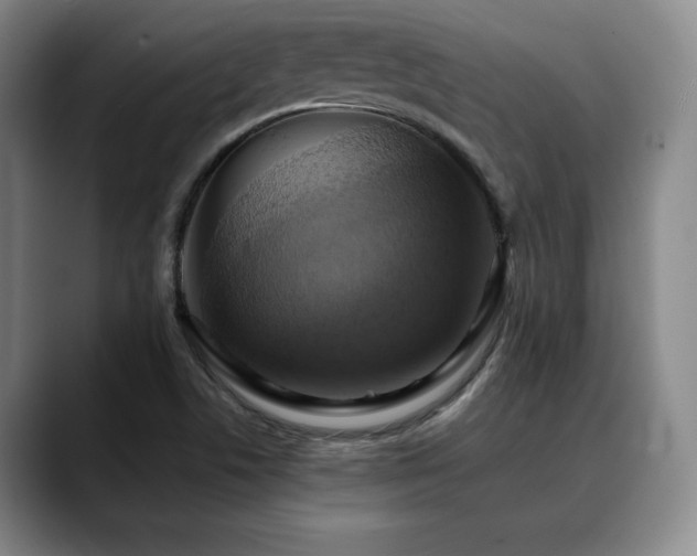 X0000090601506200707171323