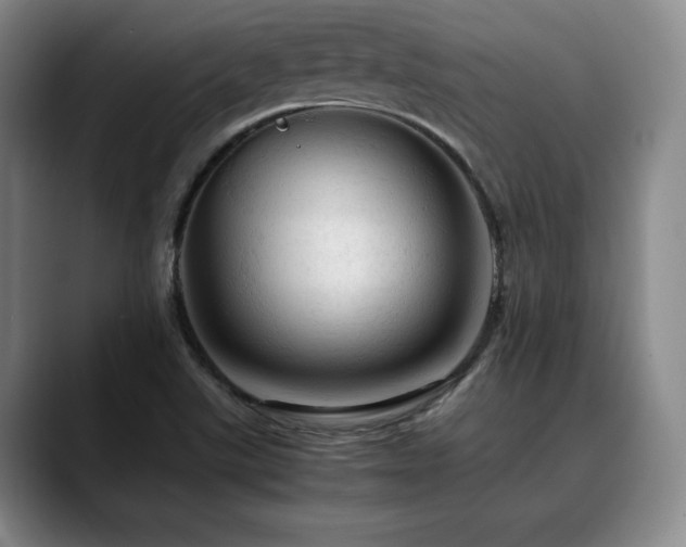 X0000090601507200707171323