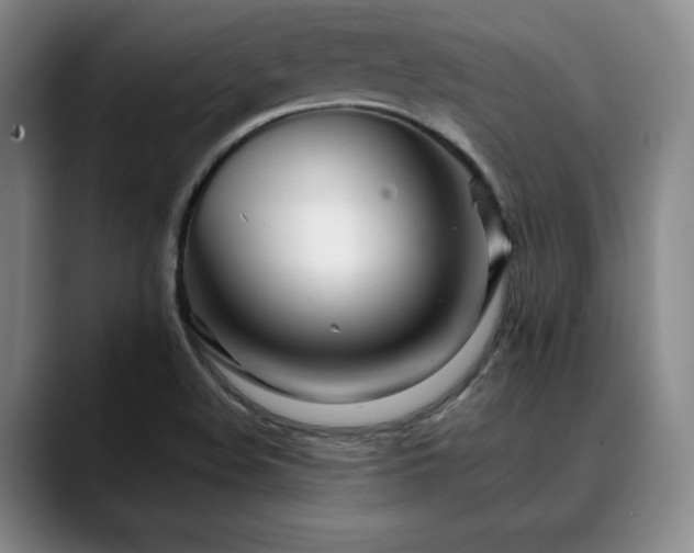 X0000090601508200707171323