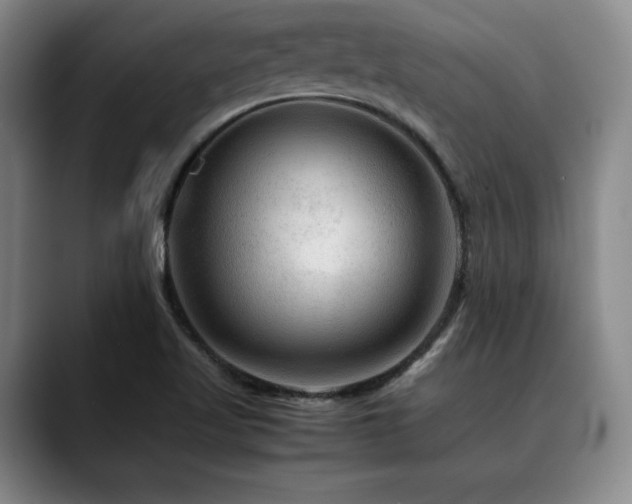 X0000090601509200707171323